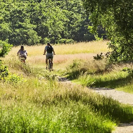 Дом отдыха 8580-glesborg-vikingebanke-7